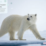 Our Planet: The One Place We All Call Home
