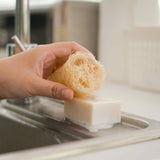 Loofah