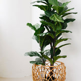 Kurumi Rattan Basket
