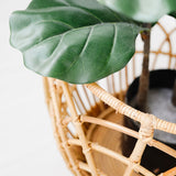 Kurumi Rattan Basket