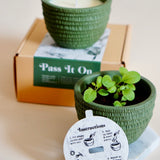 Spring Moss | Yuzu & Vetiver