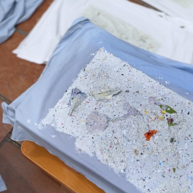 Nurtured Nest - Seed-paper making workshop