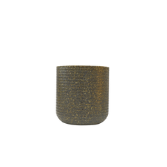 Capsule Cup, Rice Husk
