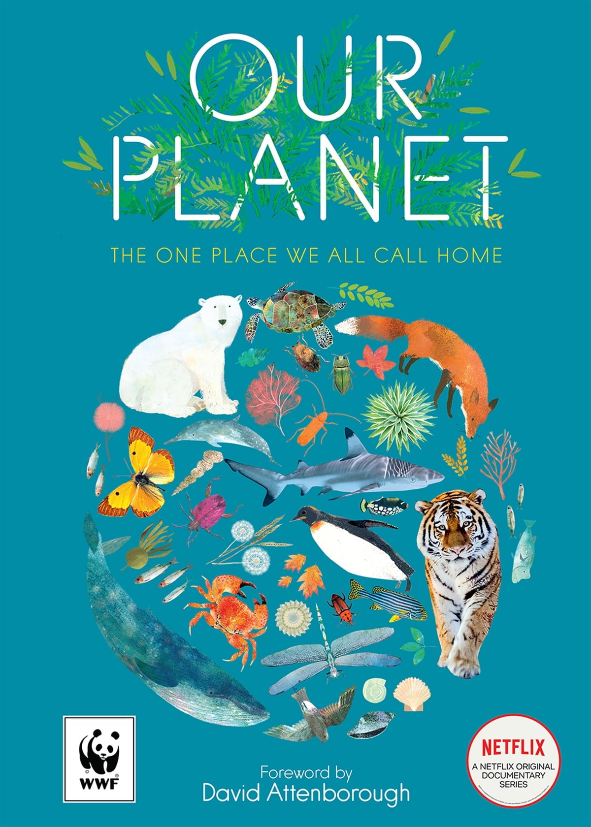 Our Planet: The One Place We All Call Home