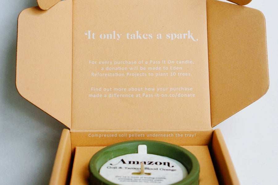 Great Barrier Reef | Wood Sage & Sea Salt