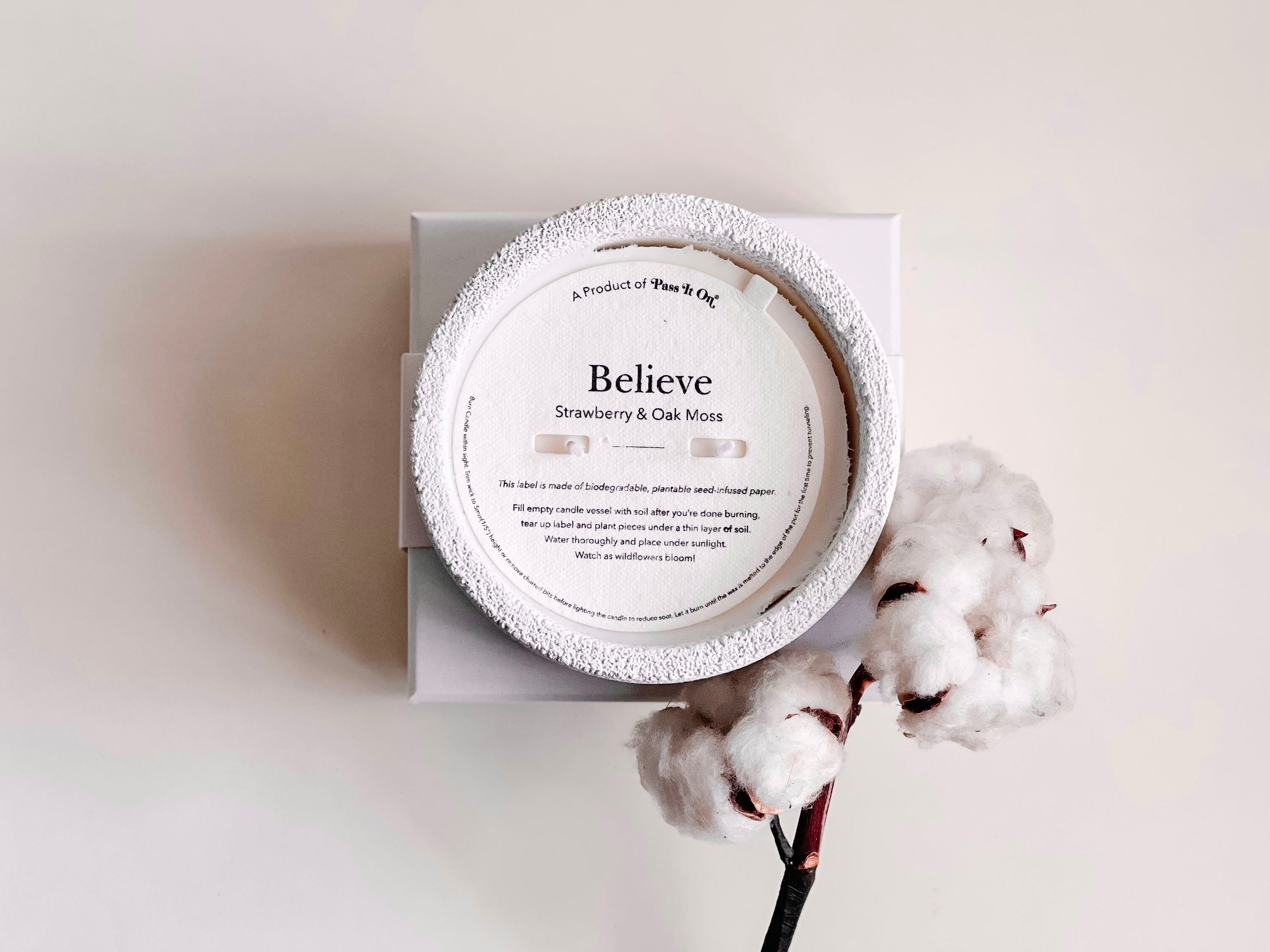 Believe | Strawberry & Oakmoss