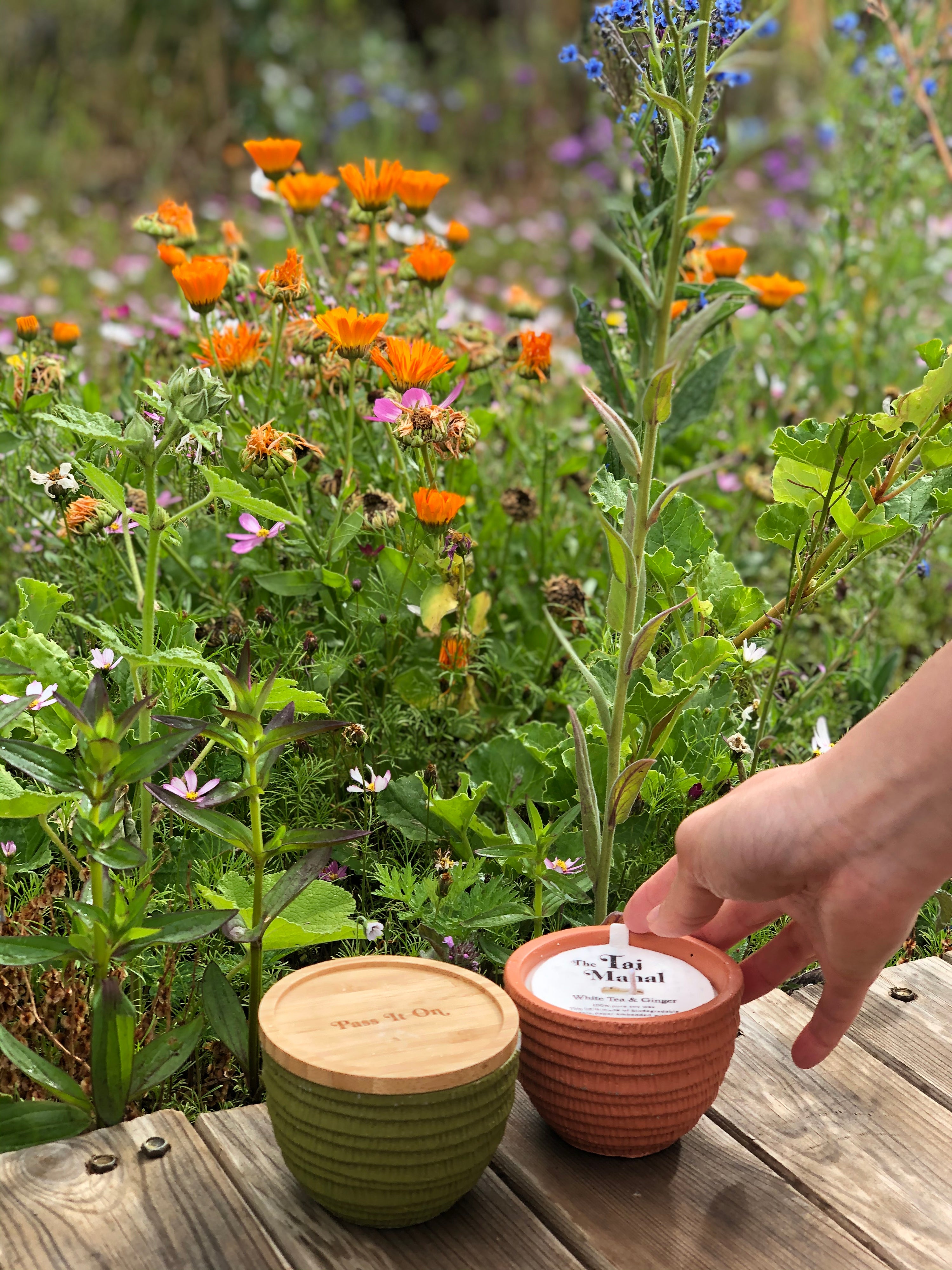 Pass It On Bamboo Candle Cover