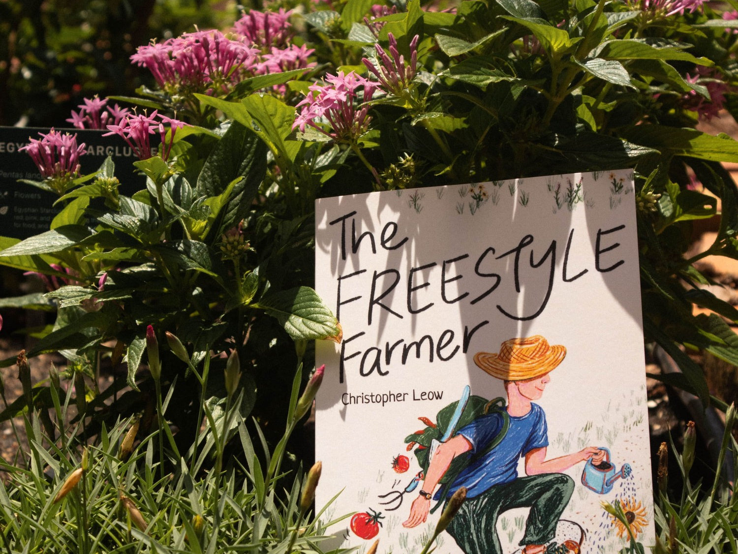 Pass It On Singapore, The Freestyle Farmer by Christopher Leow, Urban Farming Singapore, Farm to Table Singapore