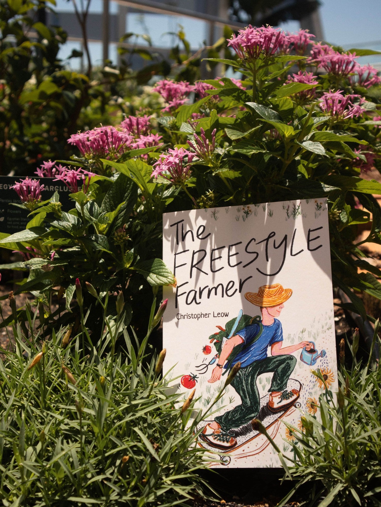 Pass It On Singapore, The Freestyle Farmer by Christopher Leow, Urban Farming Singapore, Farm to Table Singapore