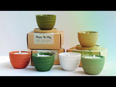 Great Barrier Reef | Wood Sage & Sea Salt